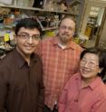 Rice University researchers -- from left, undergraduate Manan Mehta, bioengineer Jonathan Silberg and research technician Shirley Liu -- have developed an efficient method for the creation of protein libraries used in biomolecular research.