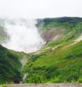 The research was conducted on microbes found in a single geothermal hot spring in the Mutnovsky Volcano region of Kamchatka, Russia.