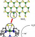 Molybdenite (top) is a popular catalyst, but reactions take place only at edge sites (circle) where a molybdenum-sulfur-sulfur triangle protrudes. UC Berkeley/LBNL chemists have created molecules (bottom) with only an active site triangle that efficiently convert water to hydrogen.