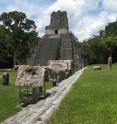 This is a temple in the Kingdom of Tikal; one of the most prominent of the Classic Period.