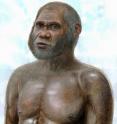An artist's reconstruction of fossils from two caves in southwest China have revealed a previously unknown Stone Age people and give a rare glimpse of a recent stage of human evolution with startling implications for the early peopling of Asia. 
The fossils are of a people with a highly unusual mix of archaic and modern anatomical features and are the youngest of their kind ever found in mainland East Asia. 
Dated to just  14,500 to 11,500 years old, these people would have shared the landscape with modern-looking people at a time when China's earliest farming cultures were beginning, says an international team of scientists led by associate professor Darren Curnoe, of the University of New South Wales, and professor Ji Xueping of the Yunnan Institute of Cultural Relics and Archeology.