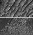 Images from the High Resolution Imaging Science Experiment on NASA's Mars Reconnaissance Orbiter show exposed rock strata in periodic bedrock ridges on the floor of the West Candor Chasma on Mars.
