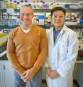 Jay Keasling and Fuzhong Zhang at the Joint BioEnergy Institute obtained a threefold increase in the microbial production of biodiesel from glucose using a dynamic sensor-regulator system they and JBEI’s James Carothers developed.