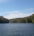 Downing Lake, shown here, was one of seven Indiana lakes researchers monitored during a four-month period to assess how the <I>Daphnia dentifera </I>population quickly evolved to survive epidemics of a virulent yeast parasite <I>Metschnikowia bicuspidata</I>.