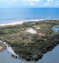 Geoscientists report new findings on sea level rise and coastal subsidence in Louisiana.