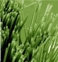 This image shows glass fibers coated with a thermoelectric material that generates electrical current when exposed to heat. The technology might be used to harvest energy from hot pipes or engine components, possibly representing a way to recover energy wasted in factories, power plants and cars.