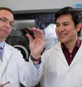 After introducing what appears to be a universal technique to reduce the work function of a conductor in printable electronics, a team led by Georgia Tech's Bernard Kippelen has developed the first completely plastic solar cell.