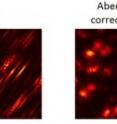 This image shows aberrations in imaging can make points appear as slashes or blurs (left frame). Computational adaptive optics developed by University of Illinois researchers can correct aberrations in high-resolution microscopy (left frames).