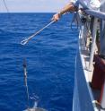 Giora Proskurowski deploys a net collect samples that help estimate how much plastic debris is in the ocean.