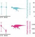 This graphic shows disparity trends in four dinosaur groups during the final 12 million years of the Cretaceous (North American species only). Time (from 77-65 million years ago) is shown on the x axis. The y axis shows the disparity metric: Sum of variances derived from anatomical character databases. The error bars indicate whether comparisons between time intervals are significant or not (overlap of error bars means non-significance, no overlap means significance). Overall, the large-bodied bulk-feeding ceratopsids and hadrosauroids underwent a marked long-term decline, but the carnivorous coelurosaurs and small herbivorous pachycephalosaurs were stable.