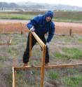 This shows scientist David Hooper of Western Washington University conducting grassland research.