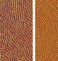 The method of creating a thin film can have great effect on the material, such as the orientation of the tiny cylinders in this film proposed for use in computer memory. One method of film creation is far more effective at creating copolymer films with cylinders that stand on end (b), as they must to be usable. Scale bar represents 200 nanometers. The method of creating a thin film can have great effect on the material, such as the orientation of the tiny cylinders in this film proposed for use in computer memory. One method of film creation is far more effective at creating copolymer films with cylinders that stand on end (b), as they must to be usable. Scale bar represents 200 nanometers.