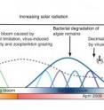 This is a scheme depicting the algae-bacteria interactions in spring 2009. It takes barely two months for the algae bloom to develop and to be degraded by a subsequent bacterioplankton bloom. The formation of the algae bloom is strongly triggered by the increasing solar radiation in spring. Not only bacteria, but also viruses and zooplankton participate in the degradation of the bloom. It is also the viruses and protozoa, which eventually terminate the bacterial bloom.