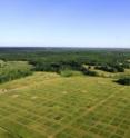 NSF Cedar Creek LTER site experiments show what makes prairies and forests most productive.