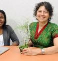 Iowa State University's Micheline Ngaki, left, and Eve Syrkin Wurtele analyzed gene activity of the thale cress plant to identify the role of three plant proteins in regulating the amounts and types of fatty acids in plants.