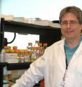 Ottawa scientist Dr. David Picketts created a strain of mice with large brains that may provide insight into brain regeneration and developmental disorders.