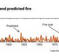 Fires predicted by the Roos-Swetnam model (orange line) are presented alongside historical fires (the black line) from fire scars dated from 1700 to 2000. As shown, the model accurately predicted historical fires, and also indicates that low-intensity surface fires should have occurred throughout the last century, were it not for fire suppression. Video at <a href="http://tinyurl.com/c72tz4e">http://tinyurl.com/c72tz4e</a>.