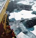 WHOI researcher David Griffith and his colleagues conducted their fieldwork in 2008 aboard the Canadian Coast Guard icebreaker Louis S. St. Laurent. At two different spots in the Canada Basin, an area northwest of the Canadian coast, they gathered samples from 24 depths ranging from the surface to the ocean floor 3,800 meters (roughly 12,500 feet) below.