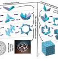 This graphic illustrates the creation of morphing robot-like mechanisms and shape-shifting sculptures from a single sheet of paper in a method reminiscent of origami, the Japanese art of paper folding. The robotic and artistic designs are made up of building blocks called "basic structural units," or BSUs. Each BSU contains two segments joined by a creased hinge, and many BSUs are linked together to create larger structures.