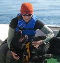 This is Katherine Ayres with Tucker, a black lab able to recognize the scent of poop from southern resident killer whales from as far away as a mile.