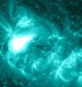The Solar Dynamics Observatory captured this image of an M1.2 class flare on June 13, 2012. The sun is shown here in teal as this is the color typically used to represent light in the 131 Angstrom wavelength, a wavelength particularly good for observing flares.