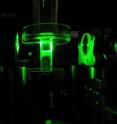 The Caltech researchers' new technique allows them to focus light deep inside biological tissue. In the experiment, the researchers shined green laser light into the tissue sample seen here in the center.