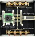 This photo shows the camera positioning system used by researchers Joshua Schultz and Jun Ueda from Georgia Tech's School of Mechanical Engineering.