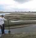 This is an exposed dune field in the Bonnet Carré Spillway following 2011 floods. Sand deposits were worked into trains of dunes when flood water flowed in the Spillway. Once the flood subsided and the BCS was closed, the water drained and dried from the spillway, thereby exposing the dunes.