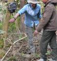 Neil Carter, a doctoral student at Michigan State University's Center for Systems Integration and Sustainability, (left) tests a camera trap set in Chitwan National Forest in Nepal, where he studies interactions between people and tigers.