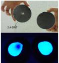 University of Connecticut scientists have developed a novel buried explosive detection system using a nanofiberous film and ultraviolet light. Image, top, shows a Petri dish (left) with buried trace levels of 2,4-DNT explosive in soil and a Petri dish (right) without DNT. Image, bottom, shows each Petri dish after application of the chemical sensing film and following 30 minutes exposure under ultraviolet light. The location of the buried DNT appears in the Petri dish (left) as a dark blot on the film.