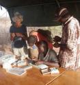 Meave Leakey (left) with Cyprian Nyete (right) and other members of the field crew reconstructing pieces of specimen KNM-ER 60000 at the field camp in 2009.