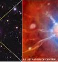 The Phoenix Cluster is an extraordinary galaxy cluster that is breaking several important astronomical records.  The composite image on the left includes an X-ray image from Chandra (purple), an optical image from the 4-meter Blanco telescope (red, green and blue), and an ultraviolet image from GALEX (blue).  This galaxy cluster has been dubbed the "Phoenix Cluster" because of the constellation in which it is found, and because of its remarkable properties including an exceptionally high rate of star formation in its center.  The artist's illustration on the right depicts the cluster's central galaxy surrounded by hotter (red) and cooler gas (blue). Flowing gas is shown in the ribbon-like structures, and the newly formed stars appear as smaller blue and white dots.