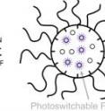 This is a schematic representation of the fluorescent photoswitchable system.