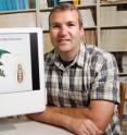 Illinois Natural History Survey ornithologist Kevin Johnson and his colleagues determined the evolutionary relationships of avian feather lice.