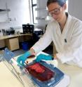 University of Strathclyde Bioengineer Laurie Shedden demonstrates the technology. University of Strathclyde Bioengineer Laurie Shedden demonstrates the technology.