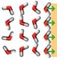 Repulsion by water molecules is the dominant mechanism when the separation between two biomembranes is larger than around one nanometer. The molecules are oriented toward the lipids in the membrane and lose their preferred spatial arrangement –repulsion arises, keeping the membranes apart.