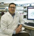 University of Washington genome scientist Dr. John Stamatoyannopoulos studies the control circuitry of the human genome.
