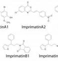 Figure 1 shows the molecular structure of imprimatins.