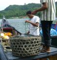 Traditional fisheries management dating back to the 17th century benefits coral reefs in Aceh, Indonesia.