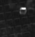 NC State researchers used ultrasound to release targeted, cell-laden micropallets, as seen here.