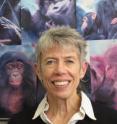 Kristen Hawkes, a distinguished professor of anthropology at the University of Utah, is publishing a new study in which a computer simulation of evolution provides support for her controversial "grandmother hypothesis." The theory says that because a few older women among human ancestors began caring for their grandchildren, their daughters could have more children at shorter intervals, and that women ended up evolving long postmenopausal lifespans, unlike female apes who rarely survive past their childbearing years.