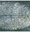 Example of negative image of fingerprint shown in new method of imaging developed by researchers at the Hebrew University of Jerusalem.