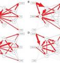 This is a weighted graph of ball transitions across two games for the (a) Bulls, (b) Cavaliers, (c) Celtics and (d) Lakers. Red edges represent transition probabilities. Player nodes are sorted by decreasing degree close clockwise from the left. The thicker the red line, the more frequently that pass occurs during play.