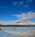 While Antarctica's Lake Vida will never be a vacation destination, it is home to some newly discovered hearty microbes.