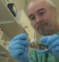 This is Professor Bill Keevil in his lab.