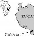 Bones of <i>Nyasasaurus parringtoni </i>were collected in southwest Tanzania in the 1930s from the Manda beds, which preserves fossils of many animals from the Triassic Period of Earth's history.