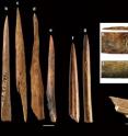 This is a Bone point from the Middle Stone Age levels at Peers Cave. The exact context is unknown (see
d’Errico and Henshilwood 2007); b–g Bone tools from the Still Bay levels at Blombos Cave; b–e bone awls;
f–g bone points; h–i engraved lines on tools c and g (see Henshilwood et al. 2001a; d’Errico and
Henshilwood 2007); j engraved bone fragment (see d’Errico et al. 2001)
220 <i>J World Prehist</i> (2012) 25:205–237
123