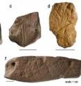 These are engraved ochres from the Still Bay M1 phase at Blombos Cave (modified after Henshilwood et al.
2009). This shows; a) Two groups of incisions, one on the center and one close to the edge. In the center two joining lines
form a ‘Y’ that is crossed by a few perpendicular parallel lines. Three incisions cross these lines; b) Two
lines that cross perpendicularly on the top right margin. Converging lines produced with a single lithic point;
c) this piece retains only a small area of the original engraved pattern. Three straight oblique lines incised on
the top left with two sinuous lines that cross them; d) three distinct sets of lines engraved on a natural surface. Piece was then knapped and a part of the engraving removed; e) a group of sinuous lines engraved on one
face. The opposite face is highly scraped and engraved with a cross-hatched pattern; and f) Cross-hatched pattern incised on one long edge.