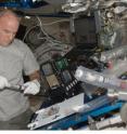 This shows Jeff Williams in the ISS: root ‘waving’ and ‘skewing’ occur in spaceflight plants independently of gravity. (<i>BMC Plant Biology</i>).