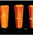 These CT scans showing the formation of microcracks in ceramic composites under applied tensile loads at 1,750 degrees Celsius were obtained at Berkeley Lab's Advanced Light Source through the use of a unique mechanical testing rig.